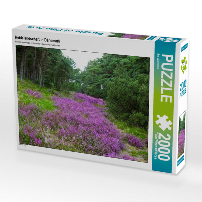Heidelandschaft in Dänemark 2000 Teile Puzzle quer - CALVENDO Foto-Puzzle'