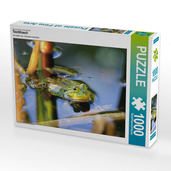 Pond frog - CALVENDO photo puzzle 