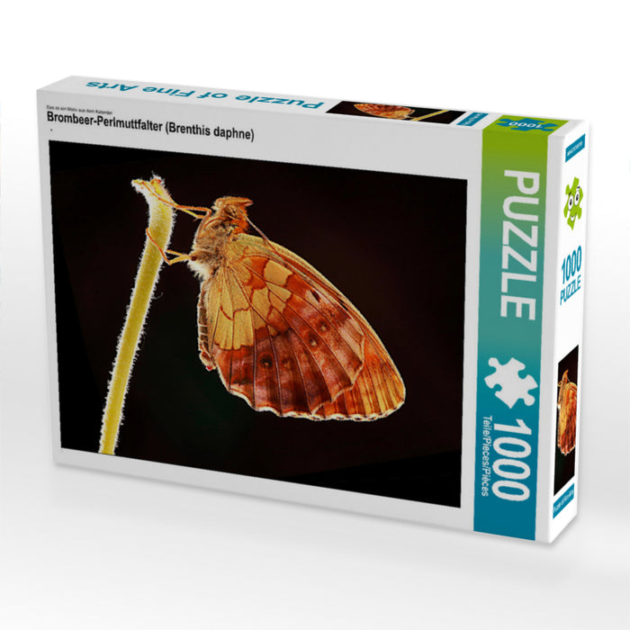 Blackberry fritillary butterfly (Brenthis daphne) - CALVENDO photo puzzle 