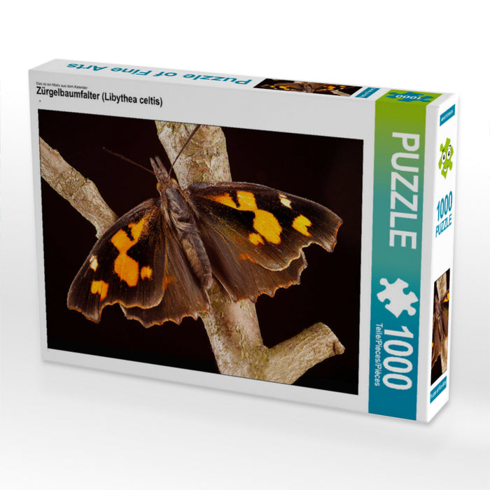 Hackberry butterfly (Libythea celtis) - CALVENDO photo puzzle 