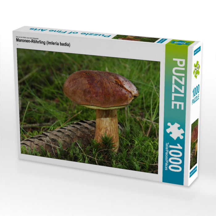 Maronen-Röhrling (Imleria badia) 1000 Teile Puzzle quer - CALVENDO Foto-Puzzle'