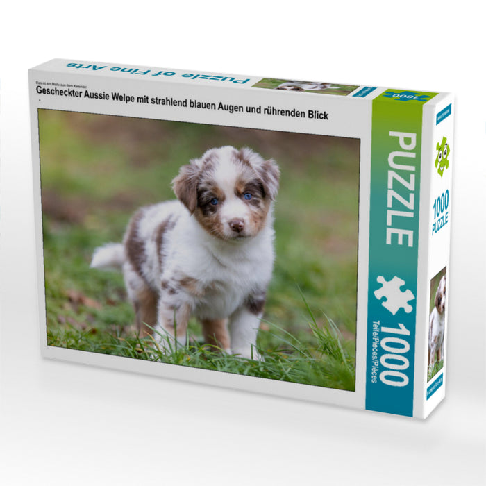 Gescheckter Aussie Welpe mit strahlend blauen Augen und rührenden Blick 1000 Teile Puzzle quer - CALVENDO Foto-Puzzle'