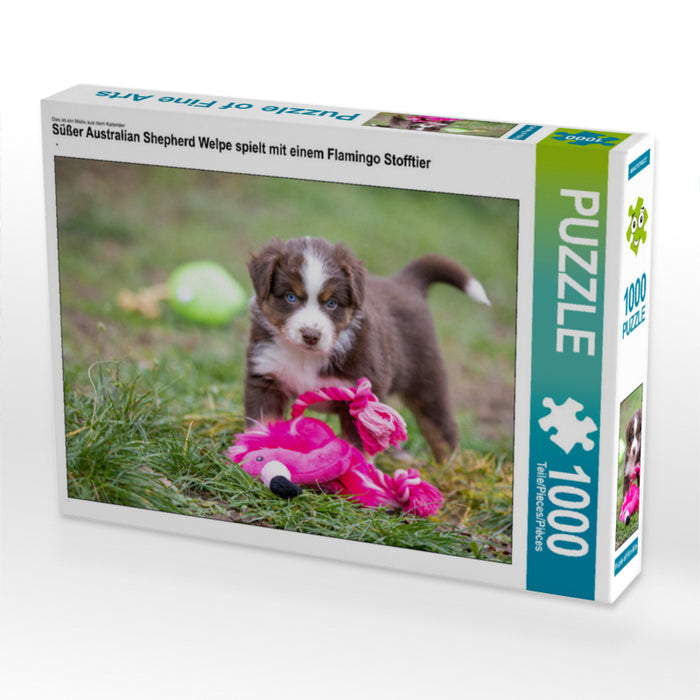 Süßer Australian Shepherd Welpe spielt mit einem Flamingo Stofftier 1000 Teile Puzzle quer - CALVENDO Foto-Puzzle'