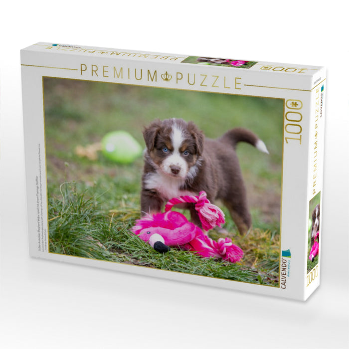 Süßer Australian Shepherd Welpe spielt mit einem Flamingo Stofftier - CALVENDO Foto-Puzzle'