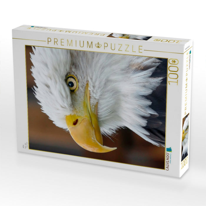 Adler - CALVENDO Foto-Puzzle'