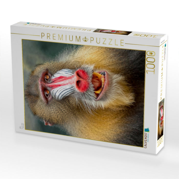 Affe - CALVENDO Foto-Puzzle'