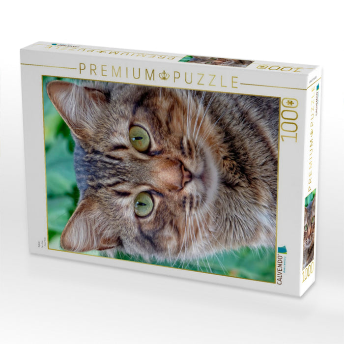 Katze - CALVENDO Foto-Puzzle'