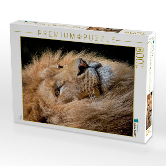 Löwe - CALVENDO Foto-Puzzle'