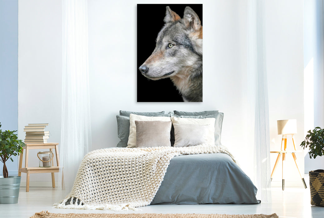 Premium Textil-Leinwand Premium Textil-Leinwand 80 cm x 120 cm  hoch Wolf