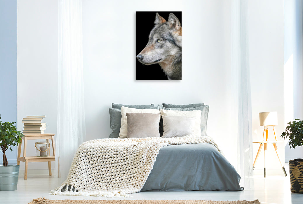 Premium Textil-Leinwand Premium Textil-Leinwand 80 cm x 120 cm  hoch Wolf