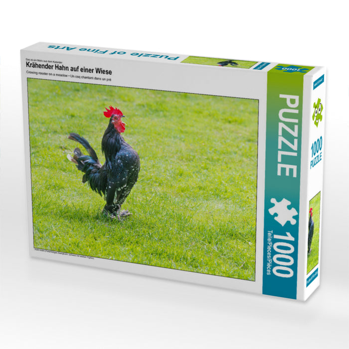 Crowing rooster in a meadow - CALVENDO photo puzzle 