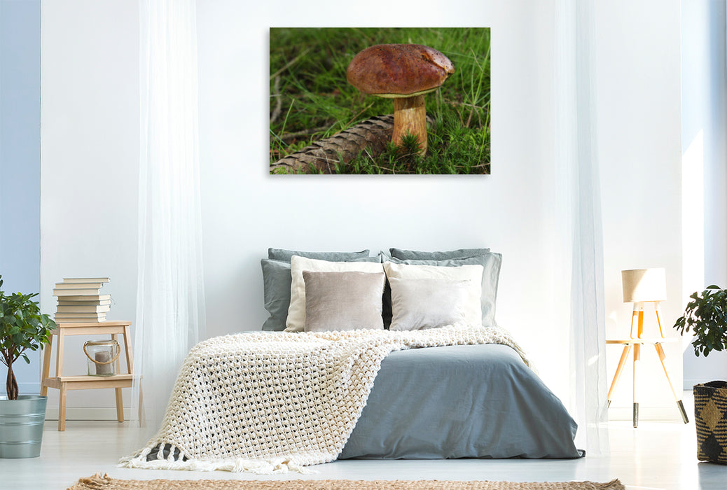 Premium textile canvas Premium textile canvas 120 cm x 80 cm across chestnut boletus (Imleria badia) 