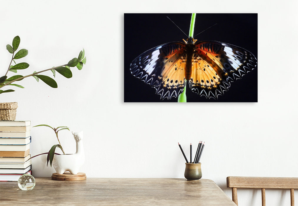 Premium textile canvas Premium textile canvas 120 cm x 80 cm landscape border butterfly (Cethosia biblis) 