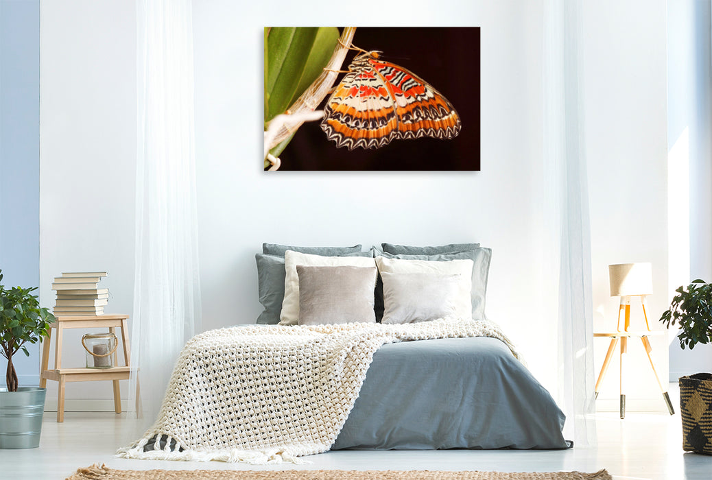 Premium textile canvas Premium textile canvas 120 cm x 80 cm landscape border butterfly (Cethosia biblis) 