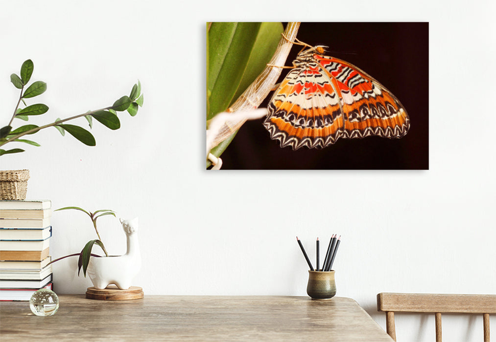 Premium textile canvas Premium textile canvas 120 cm x 80 cm landscape border butterfly (Cethosia biblis) 