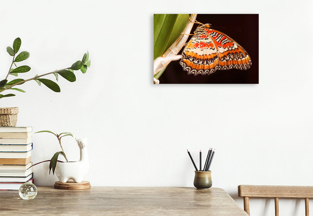 Premium textile canvas Premium textile canvas 120 cm x 80 cm landscape border butterfly (Cethosia biblis) 