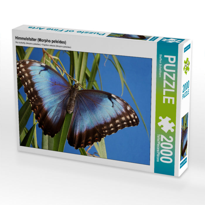 Himmelsfalter (Morpho peleides) 2000 Teile Puzzle quer - CALVENDO Foto-Puzzle'