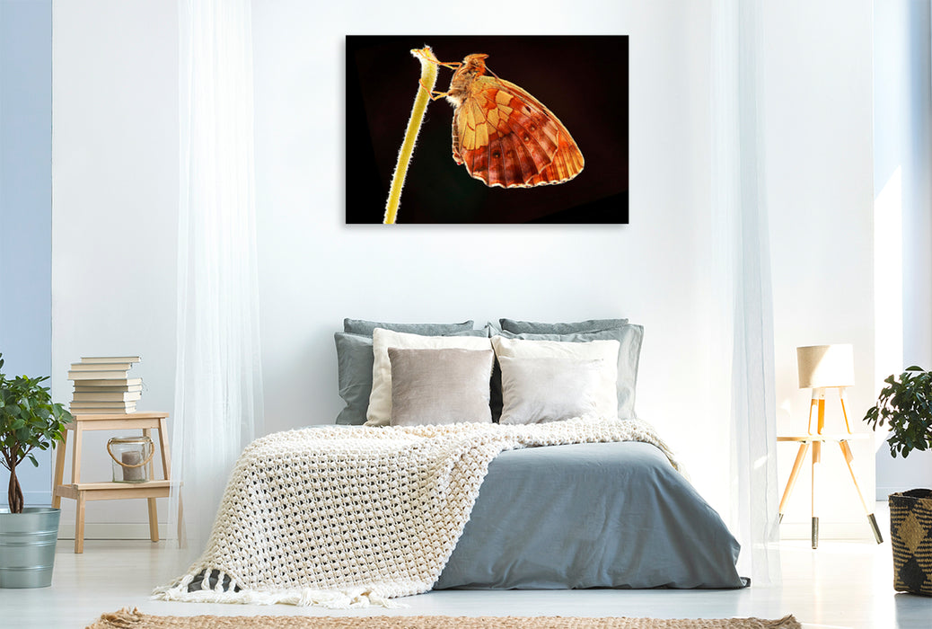 Premium textile canvas Premium textile canvas 120 cm x 80 cm landscape blackberry fritillary (Brenthis daphne) 