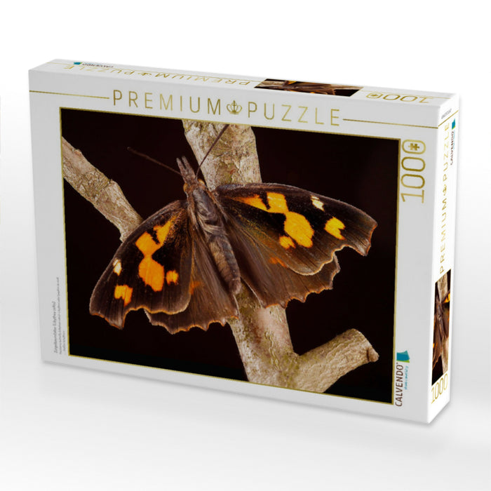Zürgelbaumfalter (Libythea celtis) - CALVENDO Foto-Puzzle'