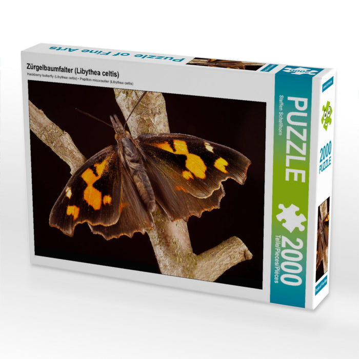 Hackberry butterfly (Libythea celtis) - CALVENDO photo puzzle 