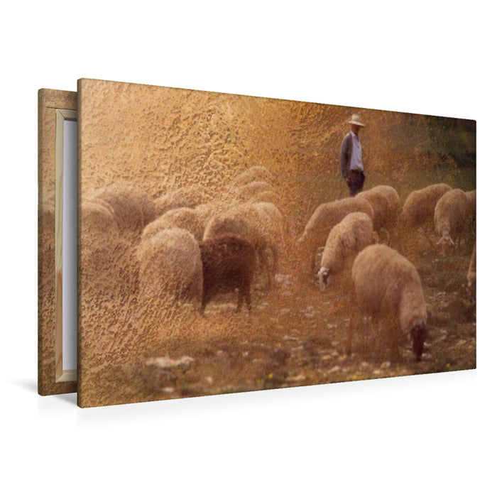 Premium Textil-Leinwand Hirte und Herde
