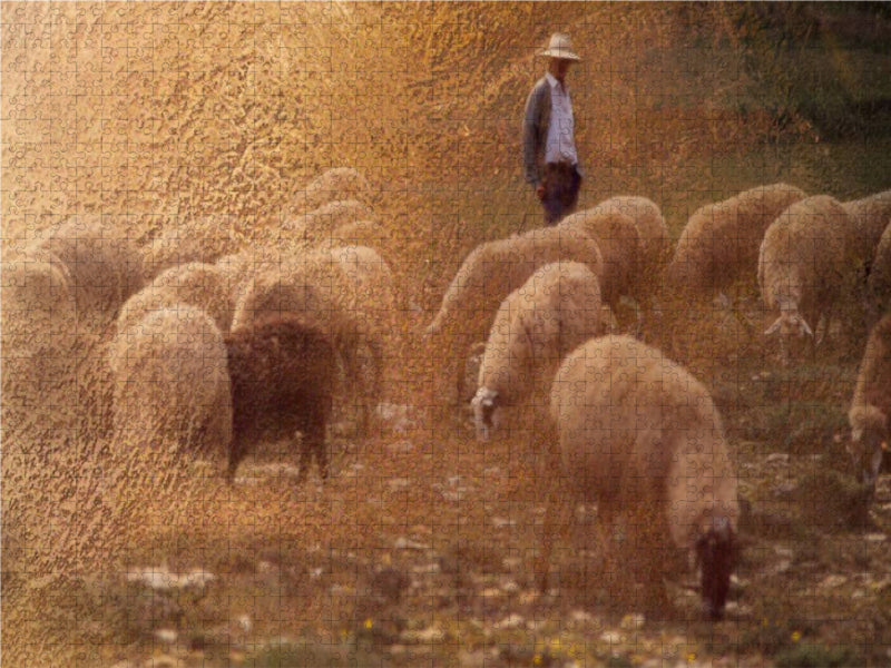 Hirte und Herde 2000 Teile Puzzle quer - CALVENDO Foto-Puzzle'