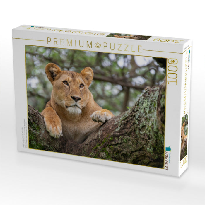 Löwin am Lake Ndutu, Tansania - CALVENDO Foto-Puzzle'