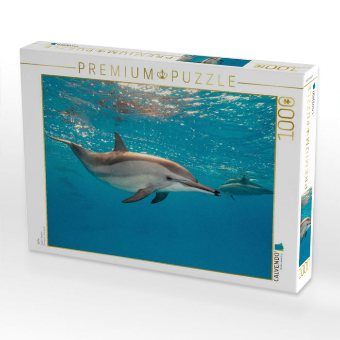 Delfin - CALVENDO Foto-Puzzle'