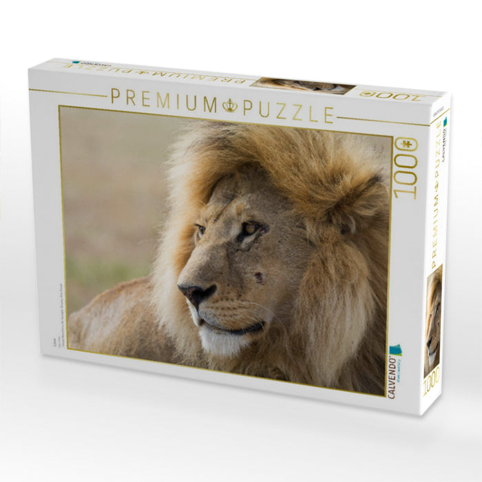 Löwe - CALVENDO Foto-Puzzle'