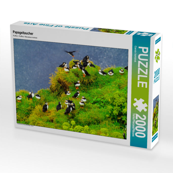 Papageitaucher 2000 Teile Puzzle quer - CALVENDO Foto-Puzzle'