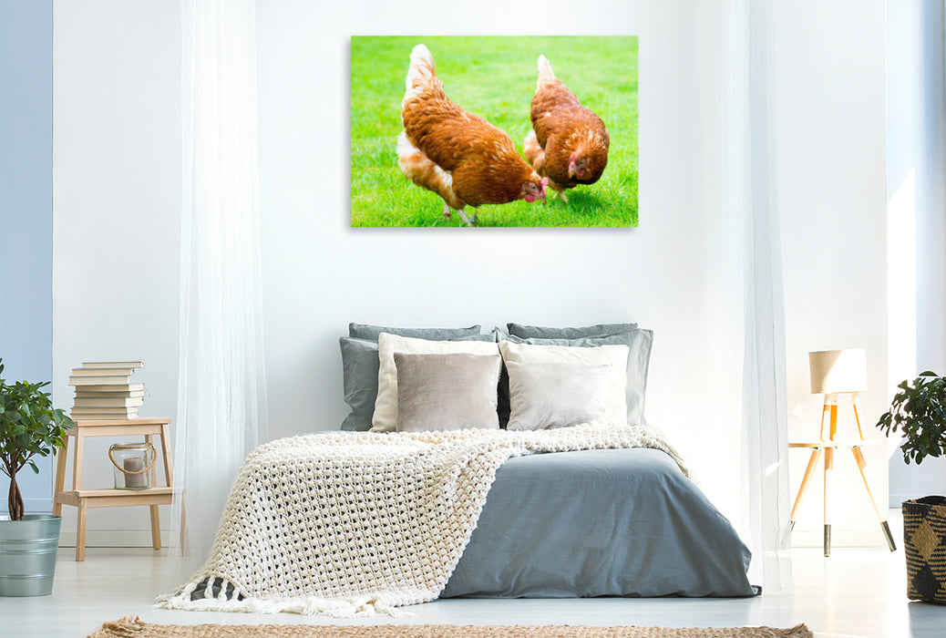 Premium textile canvas Premium textile canvas 120 cm x 80 cm landscape Two happy chickens 