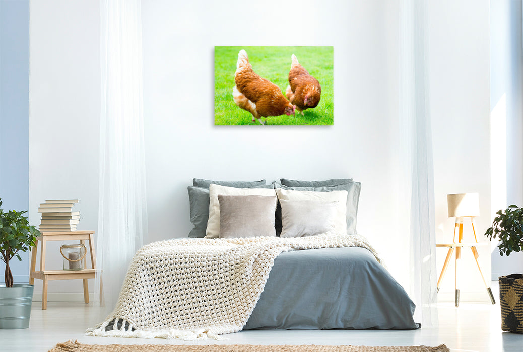 Premium textile canvas Premium textile canvas 120 cm x 80 cm landscape Two happy chickens 