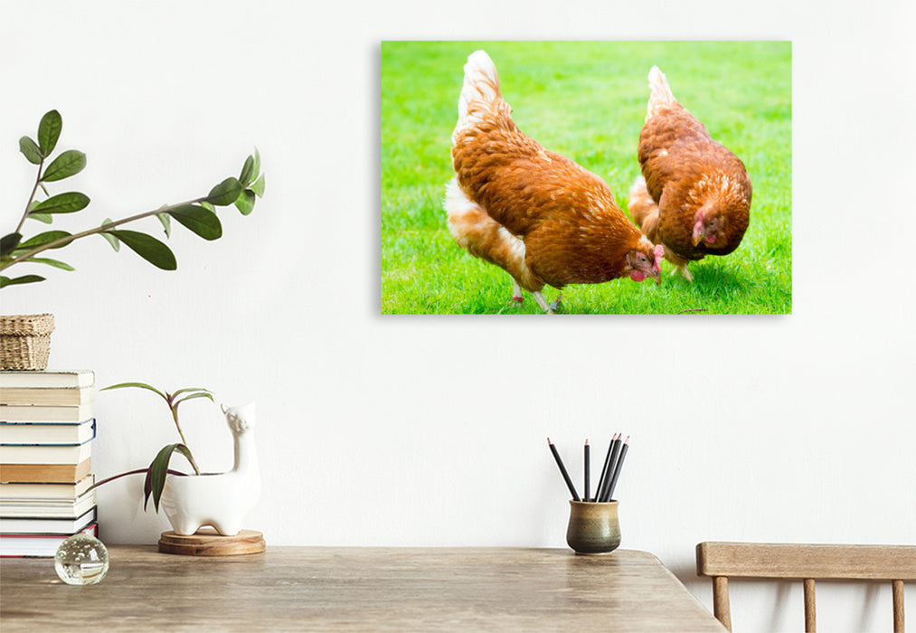 Premium textile canvas Premium textile canvas 120 cm x 80 cm landscape Two happy chickens 