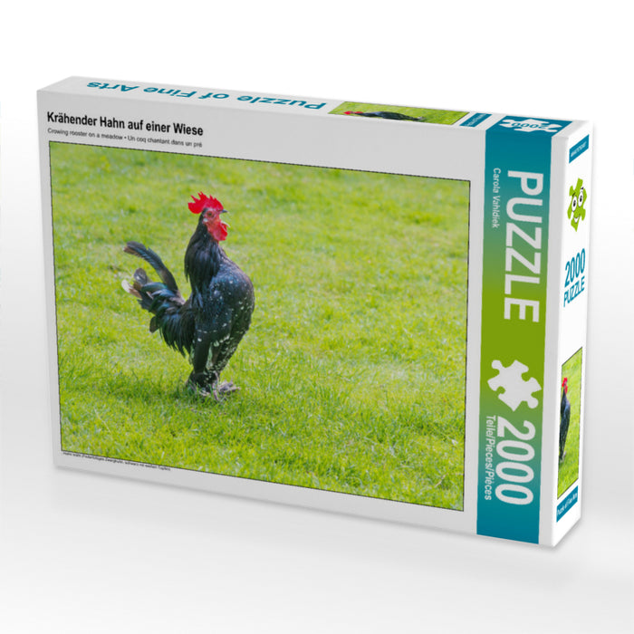 Krähender Hahn auf einer Wiese 2000 Teile Puzzle quer - CALVENDO Foto-Puzzle'