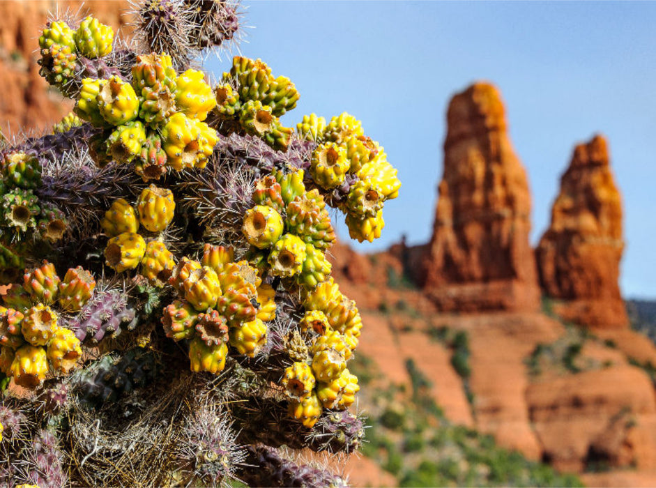Chapel Trail, Sedona - CALVENDO Photo Puzzle 