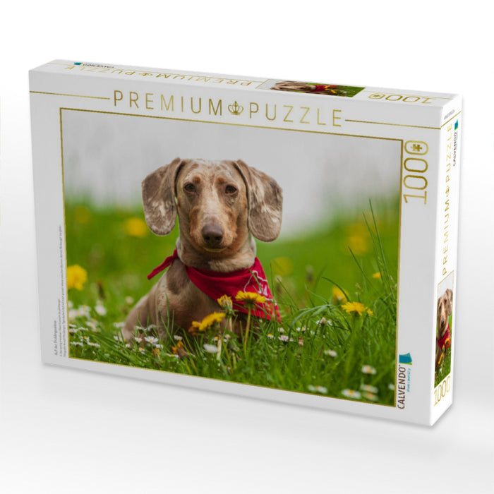 Auf der Frühlingswiese - CALVENDO Foto-Puzzle'