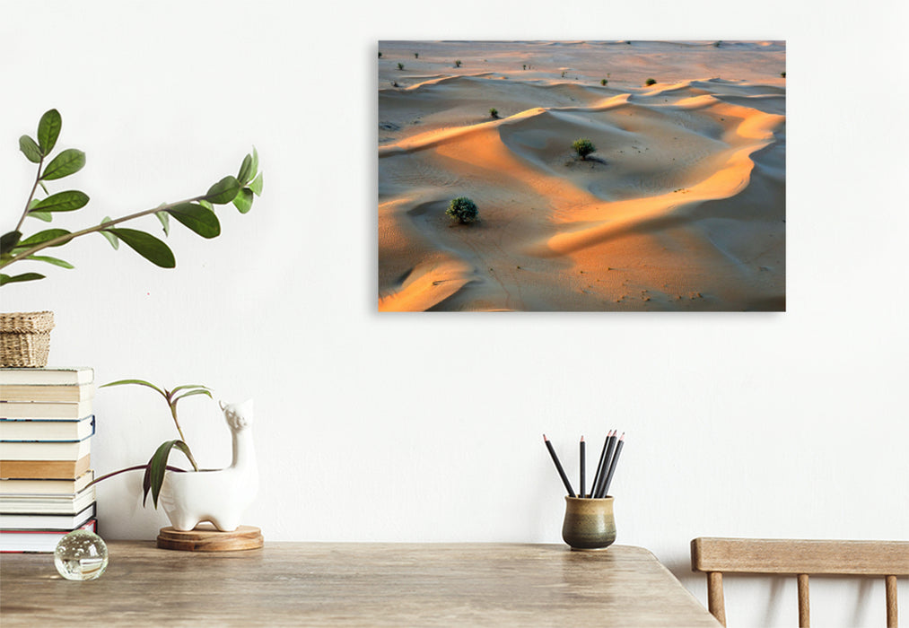Toile textile premium Toile textile premium 120 cm x 80 cm paysage Vue depuis une balade en montgolfière sur les dunes de sable du désert "Rub al-Khali" au sud de Dubaï 