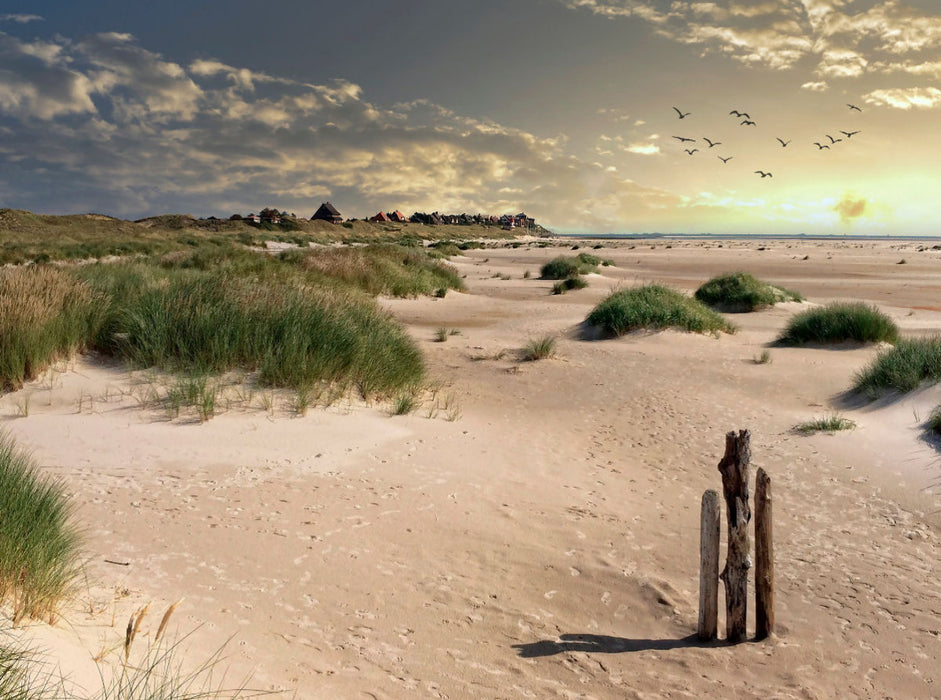 Amrum 2000 Teile Puzzle quer - CALVENDO Foto-Puzzle'
