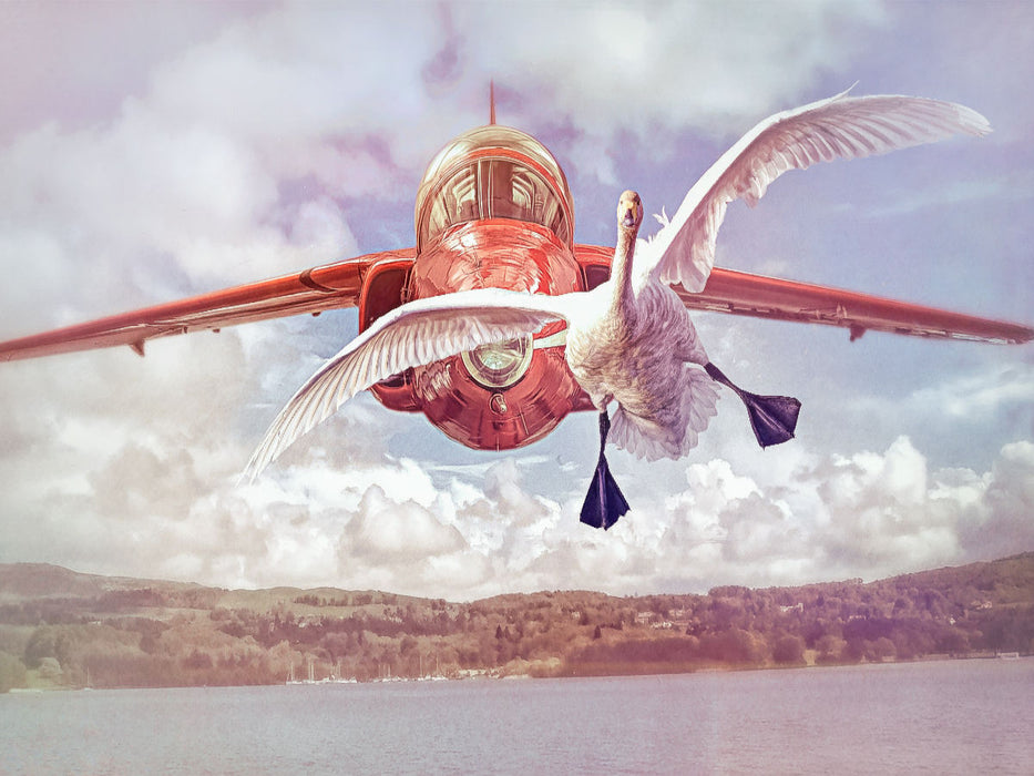 Flugzeug und Schwan - CALVENDO Foto-Puzzle'