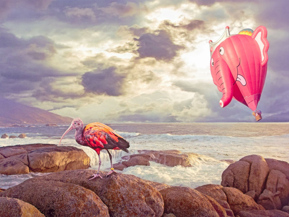 Heißluftballon und Ibis - CALVENDO Foto-Puzzle'