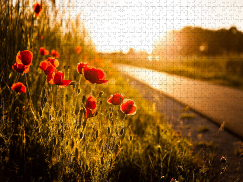 Mohnblumen am Radweg zwischen Heßdorf und Großenseebach 2000 Teile Puzzle quer - CALVENDO Foto-Puzzle'