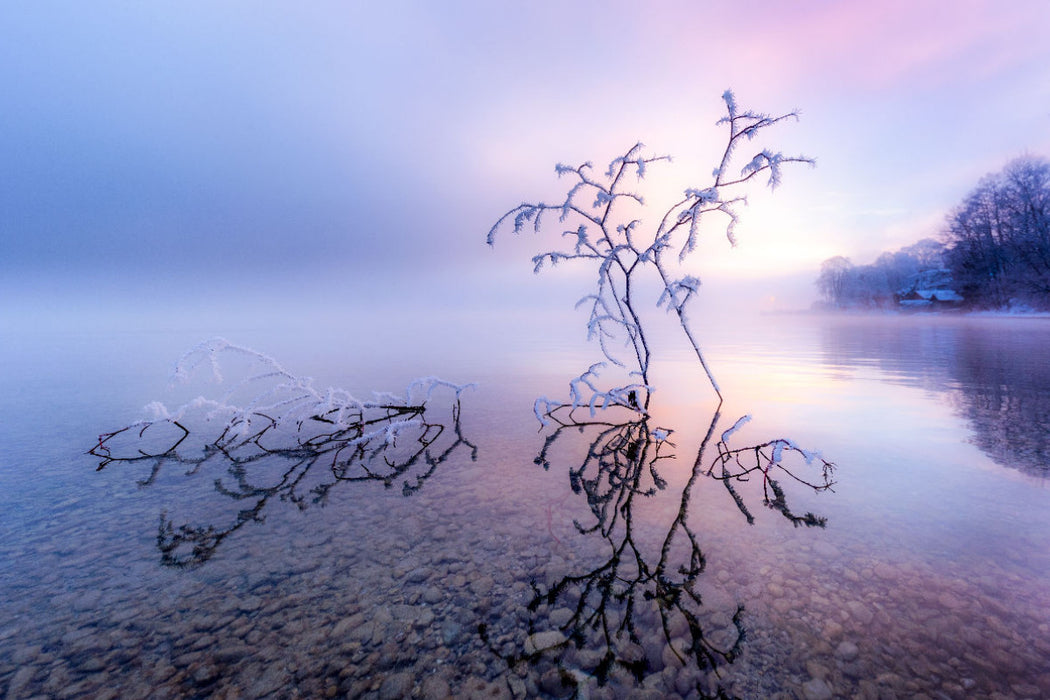 Premium Textil-Leinwand Ein Wintermorgen am Starnberger See