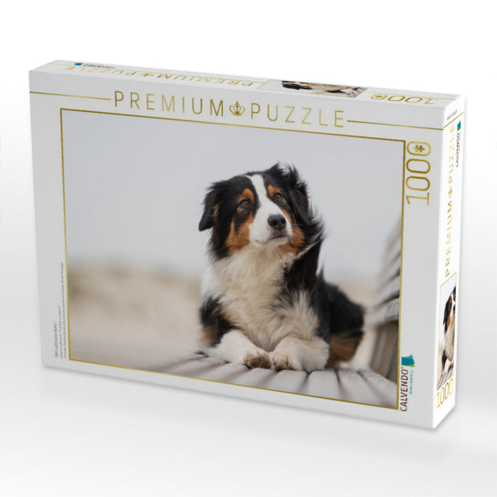 Gibt's jetzt einen Keks? - CALVENDO Foto-Puzzle'
