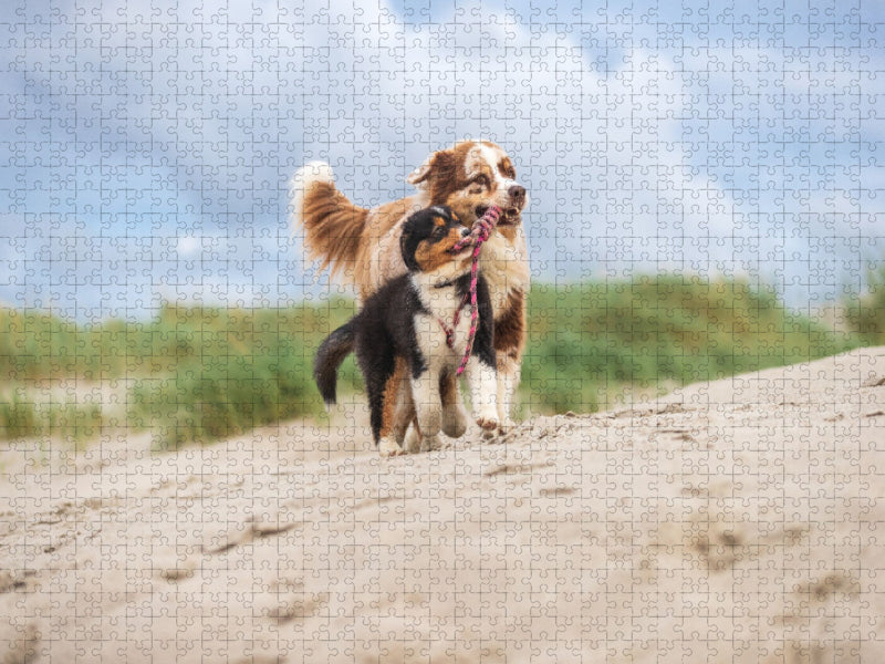Spaß zu Zweit - CALVENDO Foto-Puzzle'