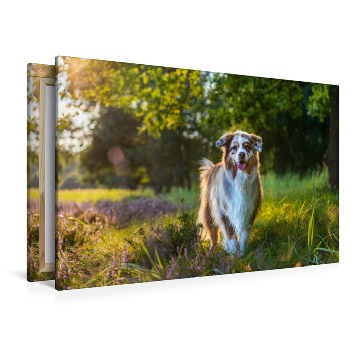 Premium Textil-Leinwand In der Heide...