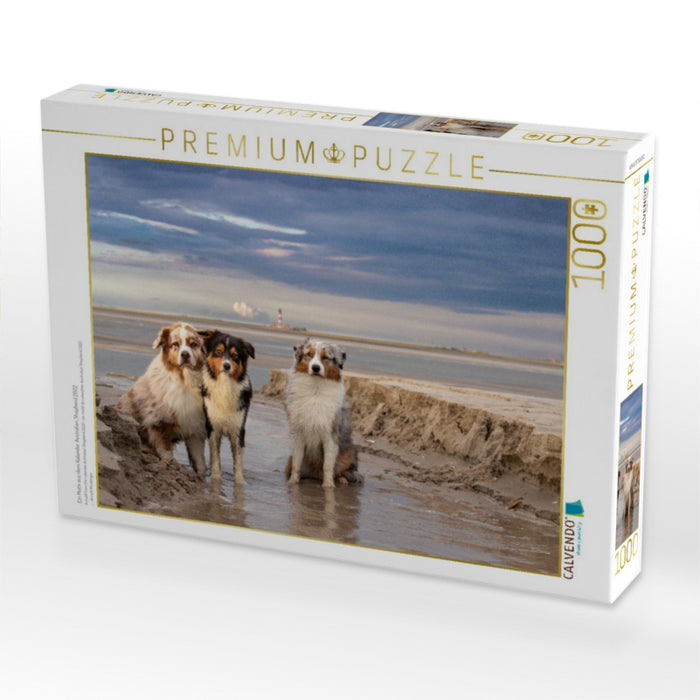 Ein Motiv aus dem Kalender Australian Shepherd 2022 - CALVENDO Foto-Puzzle'
