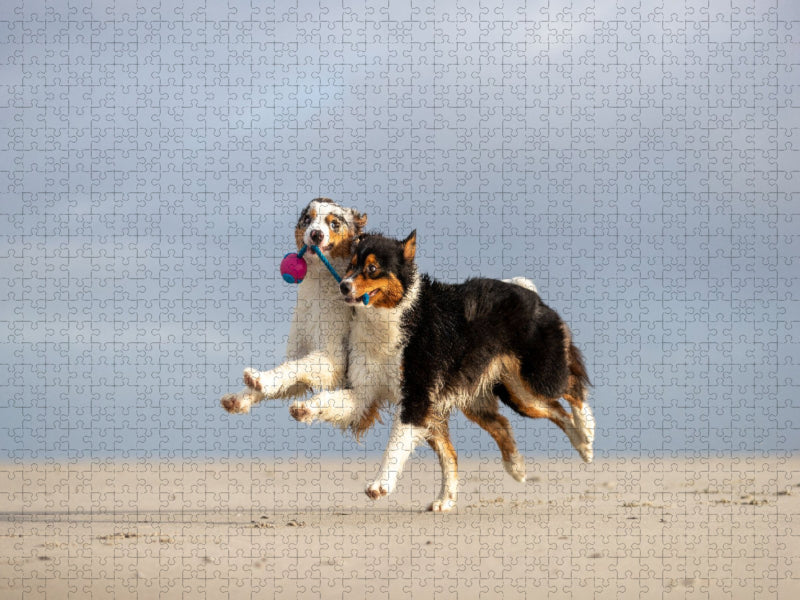Zu Zweit geht alles besser! - CALVENDO Foto-Puzzle'