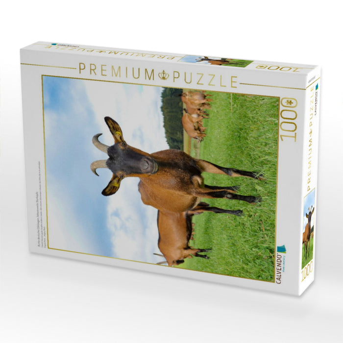 Bunte deutsche Edelziegen, liebenswerte Sturköpfe - CALVENDO Foto-Puzzle'