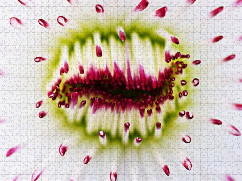 DEEP INSIDE - Beautiful - CALVENDO photo puzzle 