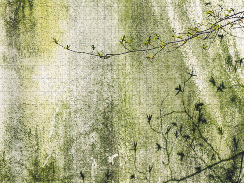 Ein Motiv aus dem Kalender Mauerblümchen - Poesie im Alltäglichen 2000 Teile Puzzle quer - CALVENDO Foto-Puzzle'
